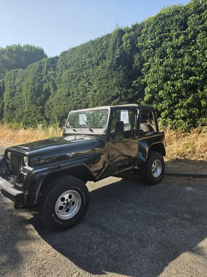 Jeep Wrangler yj renegade 4.0 HO, foto 1