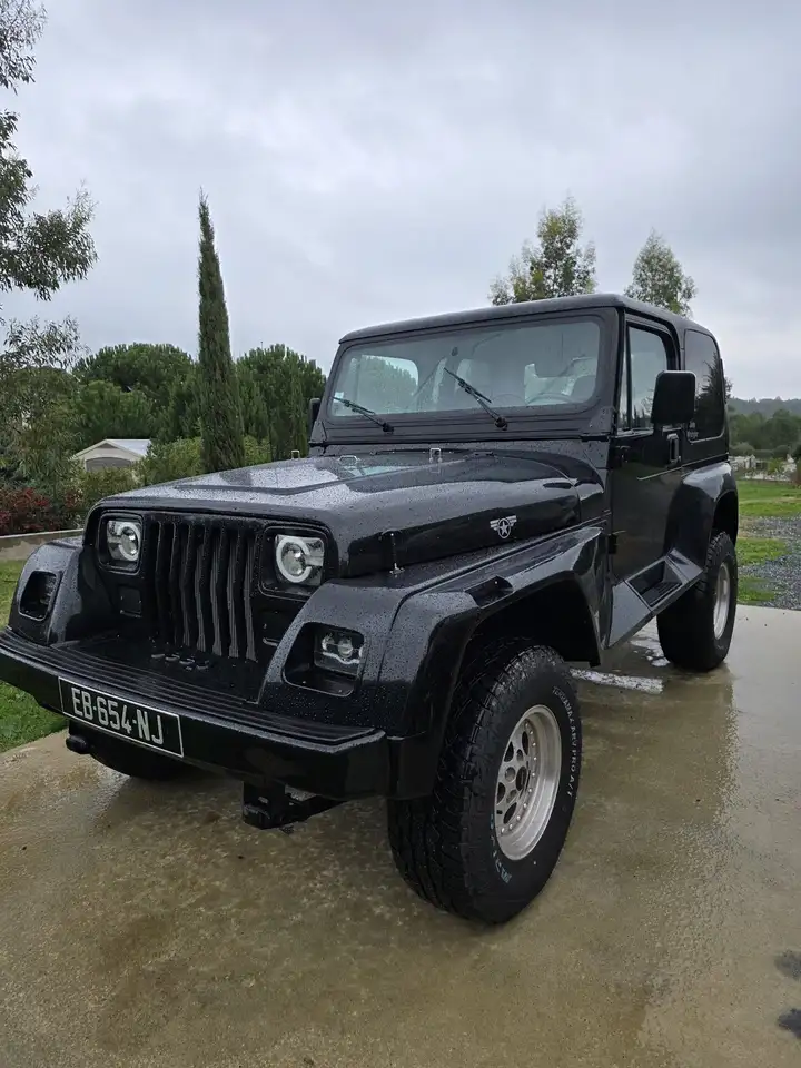 Jeep Wrangler yj renegade 4.0 HO, foto 7