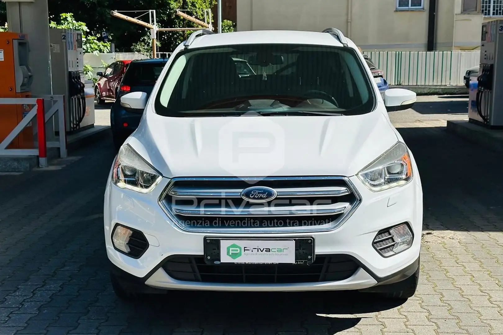 Ford Kuga Kuga 1.5 TDCI 120 CV S&S 2WD Plus Wit - 2