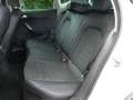 SEAT Arona Arona 1.0 TSI Weiß - thumbnail 10