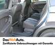 Volkswagen Tiguan Allspace R-Line TDI 4MOTION DSG Grau - thumbnail 15