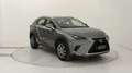 Lexus NX 300h 300h 2.5 Business 2wd cvt Grau - thumbnail 7