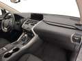 Lexus NX 300h 300h 2.5 Business 2wd cvt Grau - thumbnail 30
