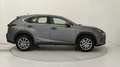 Lexus NX 300h 300h 2.5 Business 2wd cvt Grau - thumbnail 6