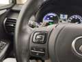 Lexus NX 300h 300h 2.5 Business 2wd cvt Grau - thumbnail 14