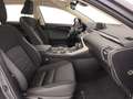 Lexus NX 300h 300h 2.5 Business 2wd cvt Grau - thumbnail 31