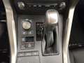Lexus NX 300h 300h 2.5 Business 2wd cvt Grau - thumbnail 18