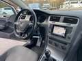 Volkswagen Golf Golf 1.6 TDI 5p.*Navi*Neopatentati*Cerchi* Grau - thumbnail 15