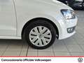 Volkswagen Polo 5p 1.2 comfortline 70cv Weiß - thumbnail 18