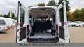 Ford Transit Kombi 350 L3 H2 Trend 9 Sitze Weiß - thumbnail 19