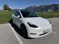 Tesla Model Y Model Y Long Range AWD 75kWh Weiß - thumbnail 5