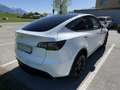 Tesla Model Y Model Y Long Range AWD 75kWh Weiß - thumbnail 2