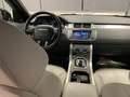 Land Rover Range Rover Evoque Range Rover Evoque 5p 2.0 td4 Pure 150cv auto Groen - thumbnail 45