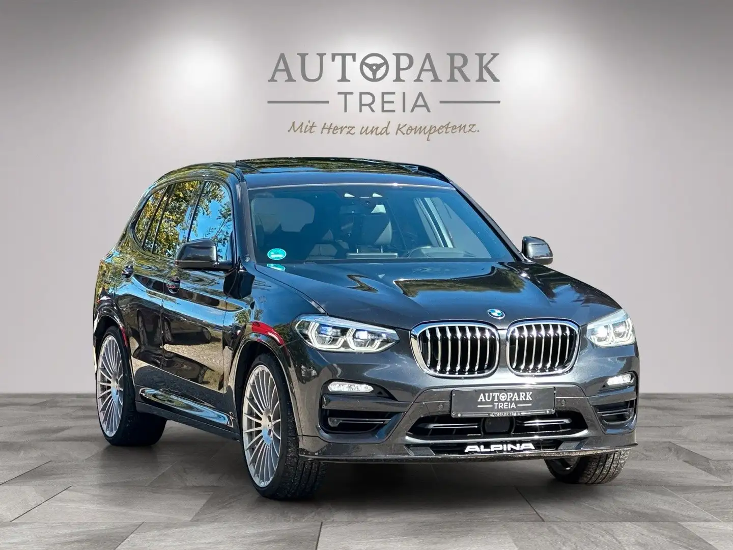Alpina XD3 (LED-AHK-ACC-H/K-PANO-SPURH-TOTW-VIRTUAL) Šedá - 1