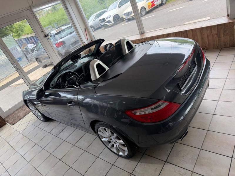 Mercedes-Benz SLK 250 SLK Roadster SLK 250 CDI BlueEfficiency — photo 13