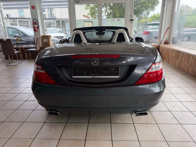 Mercedes-Benz SLK 250 SLK Roadster SLK 250 CDI BlueEfficiency — photo 9