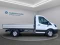 Ford Transit Pritsche 2,0 EcoBlue L2H1 350 Trend Weiß - thumbnail 4