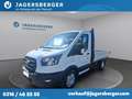 Ford Transit Pritsche 2,0 EcoBlue L2H1 350 Trend Weiß - thumbnail 1