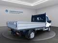 Ford Transit Pritsche 2,0 EcoBlue L2H1 350 Trend Weiß - thumbnail 5