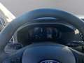 Ford Transit Pritsche 2,0 EcoBlue L2H1 350 Trend Weiß - thumbnail 14