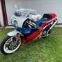 Honda VFR 750 RC 30 TOP REPLICA -/——FIXED PRICE Fehér - thumbnail 10