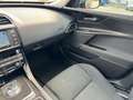 Jaguar XE 20t "Pure" 2.0 200PS,Autom.,Head-Up,Navi,Shzg Piros - thumbnail 15
