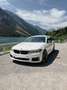 BMW BMW 550d 360*Kamera/ Standheizung/belüftete Sitze Alb - thumbnail 1