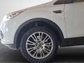 Ford Kuga Titanium 2.0 TDCi Navi Bi-Xenon Mehrzonenklima DAB Weiß - thumbnail 15