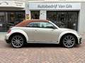 Volkswagen Beetle Cabriolet 2.0 TDI Design BlueMotion | R-LINE | CAM Marrone - thumbnail 7