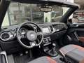 Volkswagen Beetle Cabriolet 2.0 TDI Design BlueMotion | R-LINE | CAM Brązowy - thumbnail 6