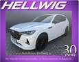 Mazda CX-60 3.3l (254PS) Homura alle Pakete Panoramadach 1.Han Weiß - thumbnail 1