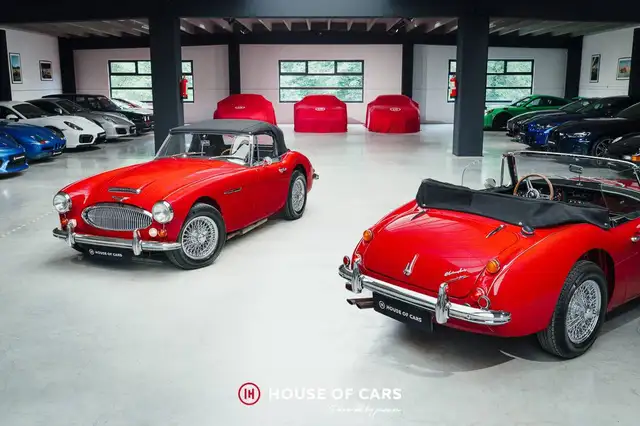 Austin Healey main image