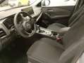 Nissan Qashqai Qashqai III 2024 1.3 mhev Acenta 2wd 140cv - thumbnail 5
