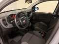 Fiat Panda Panda III 2016 1.2 Easy 69cv Grigio - thumbnail 5