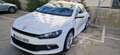 Volkswagen Scirocco Scirocco 1.4 TSI Hurricane Hurricane Blanco - thumbnail 2