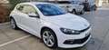 Volkswagen Scirocco Scirocco 1.4 TSI Hurricane Hurricane Blanco - thumbnail 3