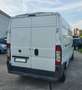 Fiat Ducato L3 H2 MAXI 2.3 MJT LUNGO ALTO Bianco - thumbnail 3