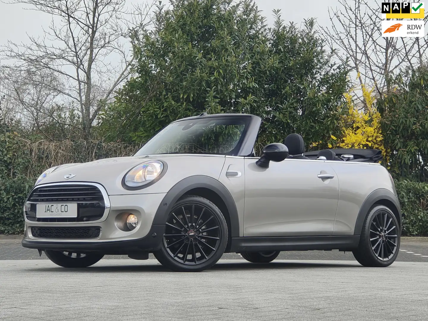 MINI Cooper Cabrio 1.5 Pepper Business NAVI NAP 100% Dealer onderhoud Grau - 1