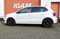 Volkswagen Polo 1.2 TSI Highline, CC, airco, apple/android carplay White - thumbnail 6