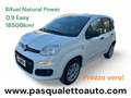 Fiat Panda BI-FUEL Panda 0.9 t.air turbo NP Easy 80cv Blanc - thumbnail 1