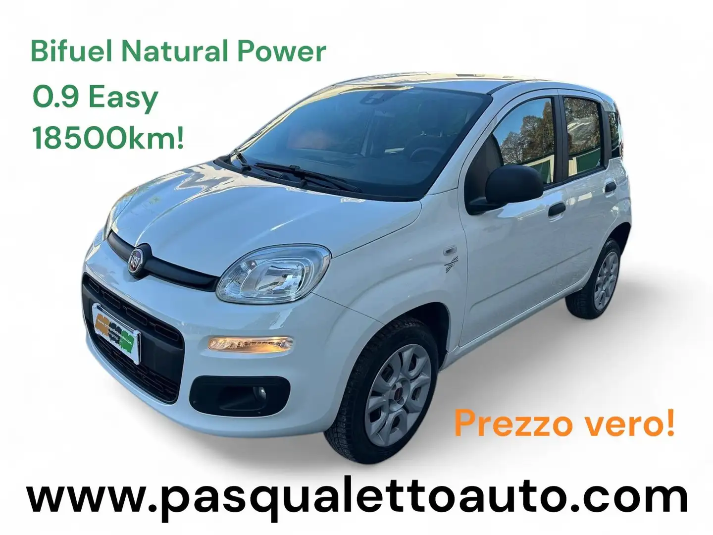 Fiat Panda BI-FUEL Panda 0.9 t.air turbo NP Easy 80cv Blanc - 1