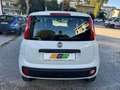 Fiat Panda BI-FUEL Panda 0.9 t.air turbo NP Easy 80cv Blanc - thumbnail 13