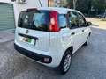 Fiat Panda BI-FUEL Panda 0.9 t.air turbo NP Easy 80cv Blanc - thumbnail 3