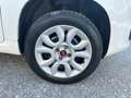 Fiat Panda BI-FUEL Panda 0.9 t.air turbo NP Easy 80cv Blanc - thumbnail 14