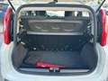 Fiat Panda BI-FUEL Panda 0.9 t.air turbo NP Easy 80cv Blanc - thumbnail 7