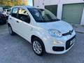 Fiat Panda BI-FUEL Panda 0.9 t.air turbo NP Easy 80cv Blanc - thumbnail 10