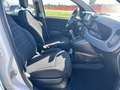 Fiat New Panda 1.0 FireFly Hybrid Weiß - thumbnail 12