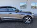 Jaguar F-Pace 20d AWD Black Pack R-Sport Aut. Grau - thumbnail 13