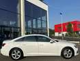 Audi A6 Lim. 40 TDI sport S-tronic/ACC/R-Kamera Blanc - thumbnail 5