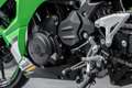 Kawasaki Ninja 500 SE ABS, WERKSGARANTIE bis 03/2029 Verde - thumbnail 19